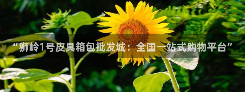 富邦娱乐 www.3806.com