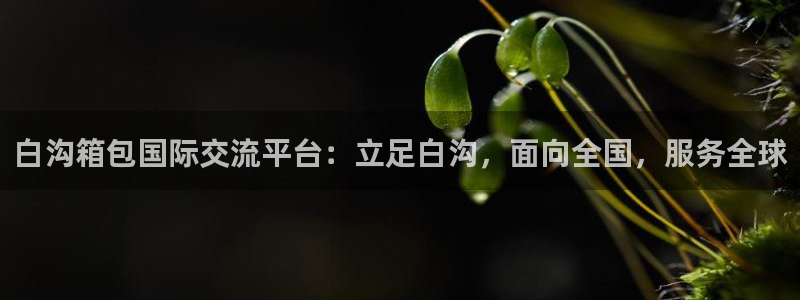 富邦翡翠娱乐会所地址