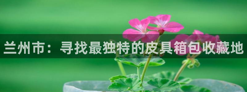 富邦娱乐团购活动