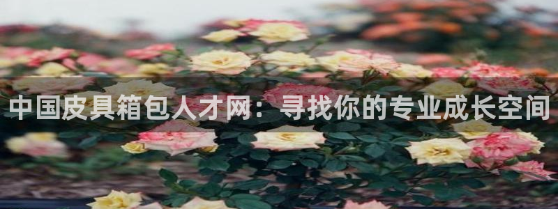 富邦娱乐官网最新网址