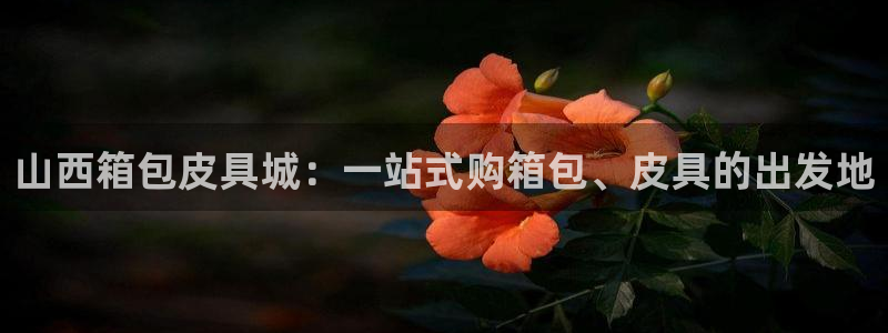 富邦娱乐游艺