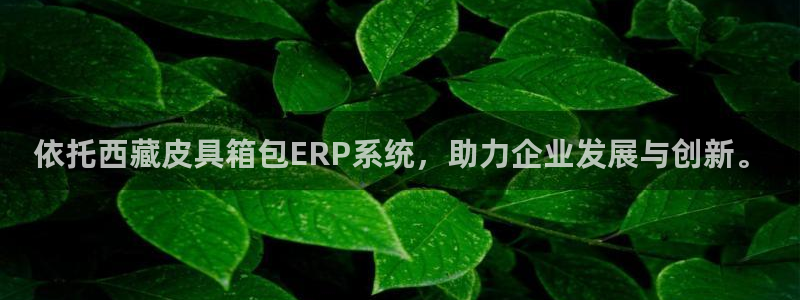 富邦体育娱乐