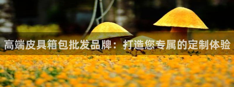 富邦娱乐注册 全礴网