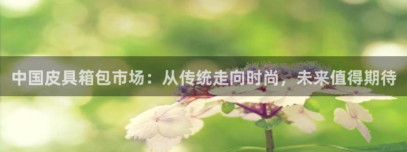 富邦娱乐网