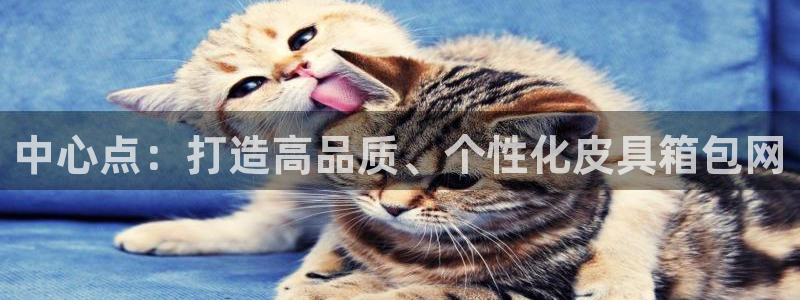 邯郸富邦娱乐地址