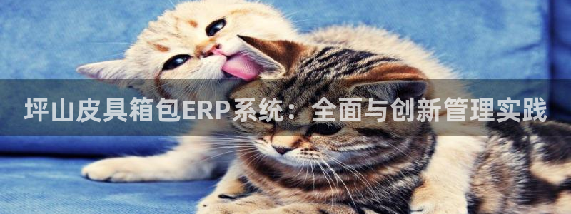 富邦娱乐大厅优惠活动