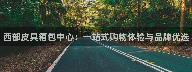 富邦娱乐 上鼎狐网