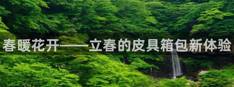 邦富娱乐国际