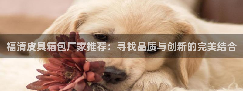 富邦娱乐注册-上全狐网