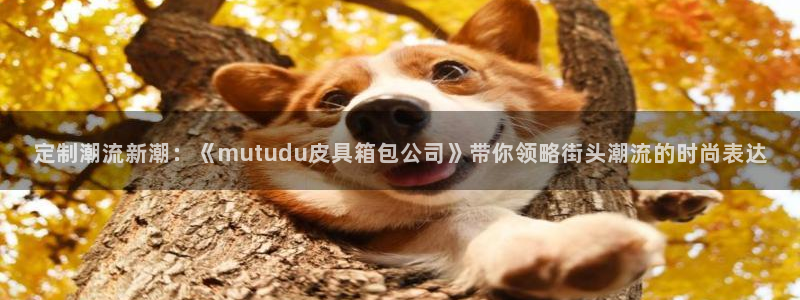 富邦娱乐团购卡怎么用啊
