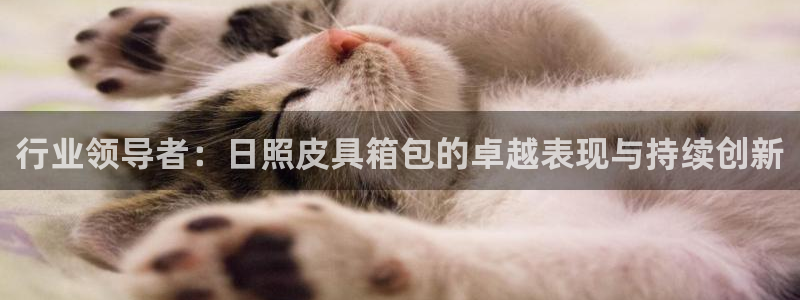 菲律宾富邦娱乐